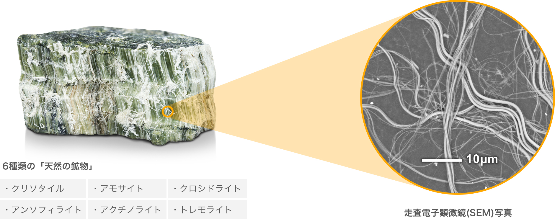 6种“天然矿物质”/扫描电子显微镜(SEM)照片