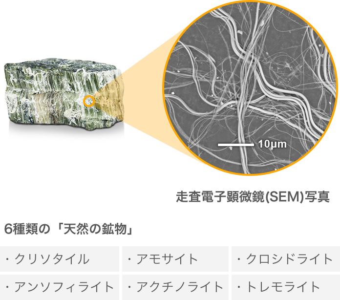 6种“天然矿物质”/扫描电子显微镜(SEM)照片