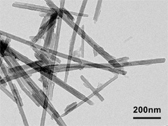 温石棉（形式观察）