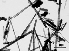 青石棉（形态观察）