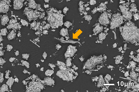 扫描电子显微镜 (SEM) 照片