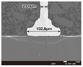 CP处理后使用SEM进行详细观察和高精度长度测量（使用JSM-7200F）