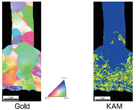 EBSD 方向图图像
