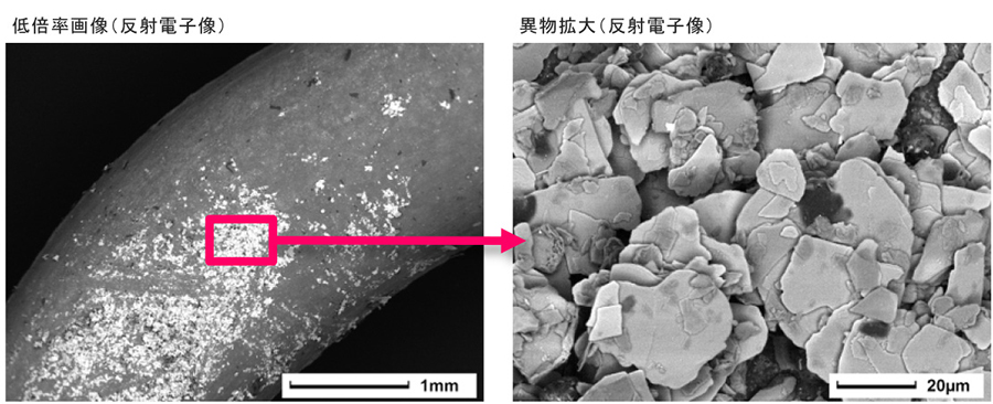 用 JCM-6000Plus 光学显微镜看到异物