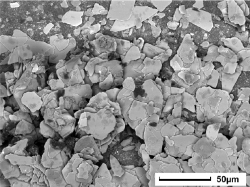JEOL JCM-6000Plus 背散射电子图像