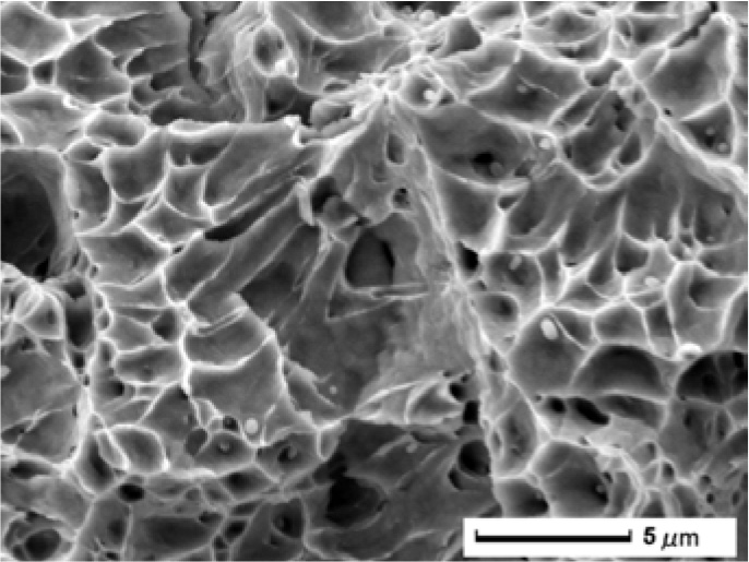 JEOL JCM-6000Plus 金属断裂面