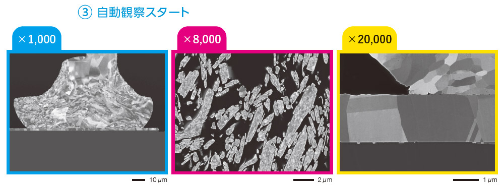 ③自动观察开始