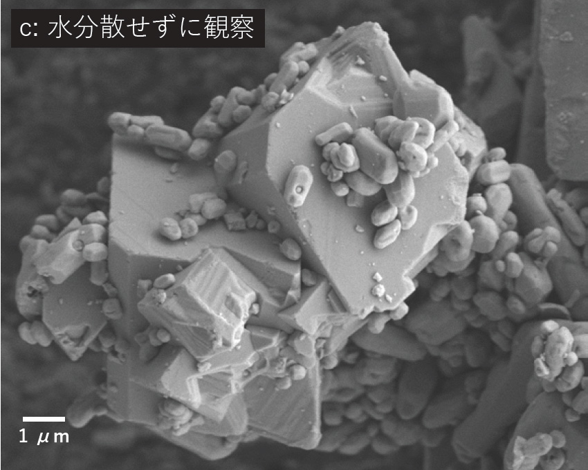 c：无水分散体的观察