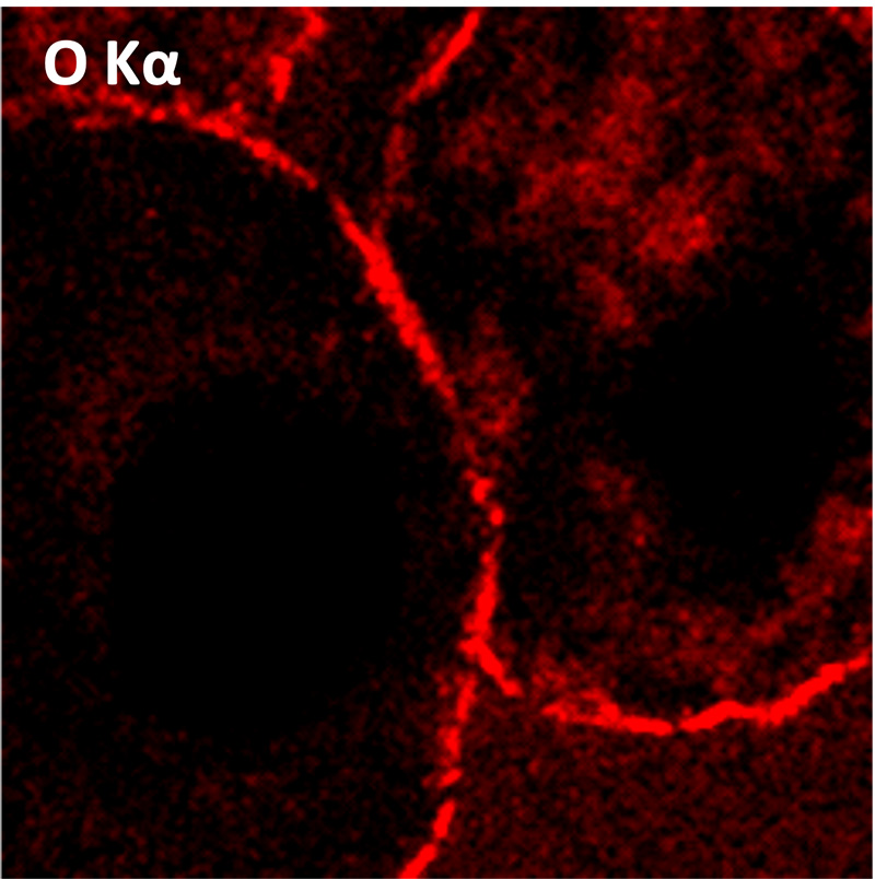O Kα