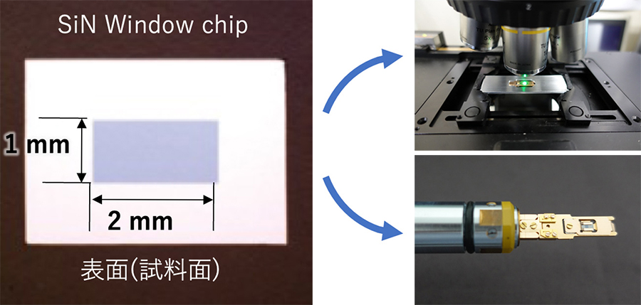片上 CLEM 工作流程