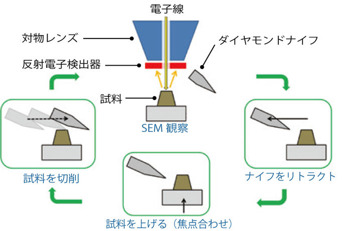 串行块面 (SBF) 方法切割/观察工作流程