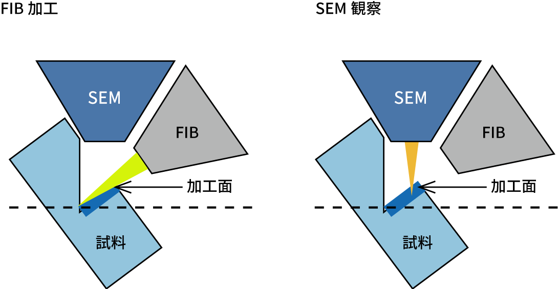 FIB-SEM法三维重建