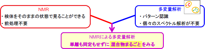 通过 1H-NMR 数据的主成分分析对食用油进行分类