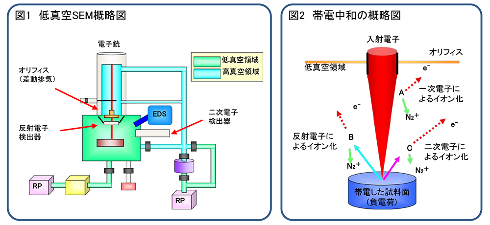 图1低真空SEM示意图/图2电荷中和示意图