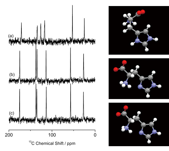 固态NMR/X射线衍射/电子衍射