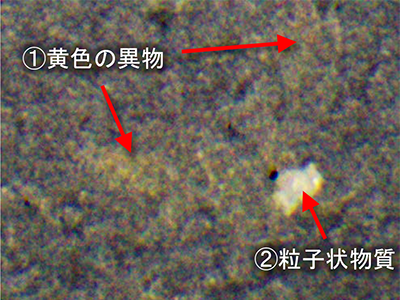 图 1 光学显微镜图像