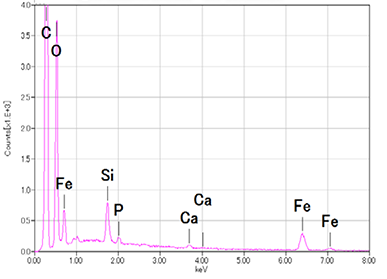 图2 使用低真空SEM观察黑色颗粒状异物