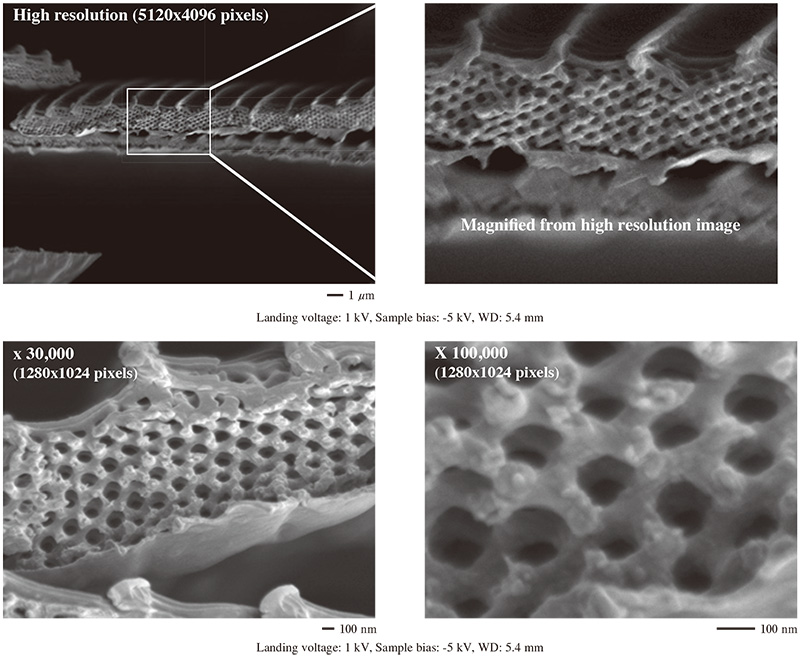 横截面比例的详细信息。