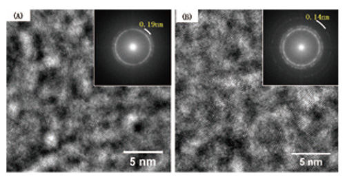 使用冷场发射 (A) 和肖特基 (B) 电子枪观察铂铱