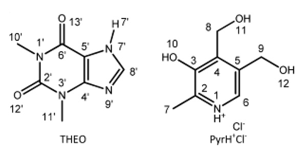 茶碱(THEO)和普多辛(Pyr)H+Cl-的化学结构