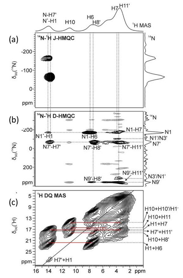 (THEO)/(Pyr)H+Cl-络合物 (a) 14N-1H J-HMQC，(b) 14N-1H D-HMQC，(c) 1H-1H DQMAS 谱