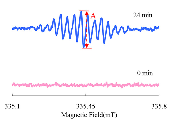 蒽醌阴离子自由基的ESR信号（电压：13V）