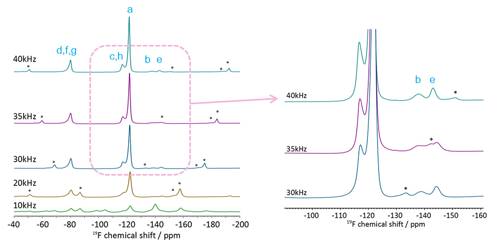 NM-ECZ600R，2mmHXMAS 探头