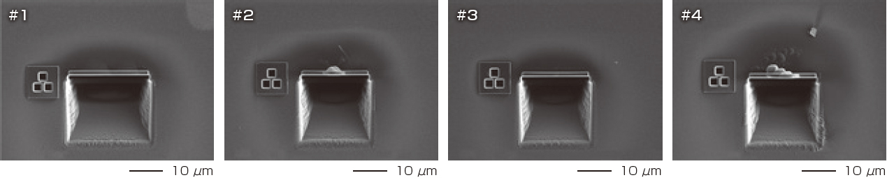 自动处理创建的横截面样本