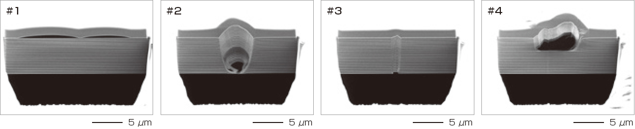 自动获取截面观察图像（SIM图像）
