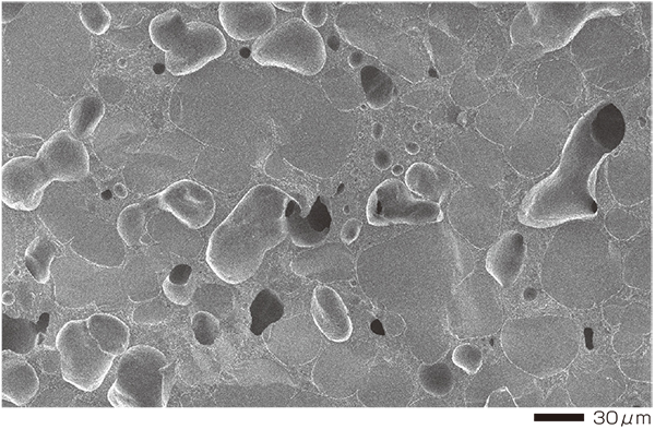 图1 光滑横截面的二次闪电图像（-120°C）