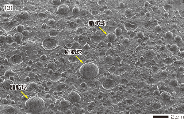 图4(a)糖溶液区域的脂肪球