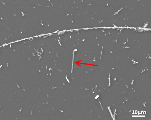 图4 SEM二次电子图像放大