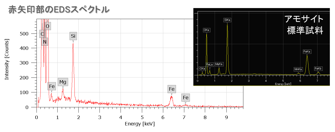 红色箭头区域的EDS谱