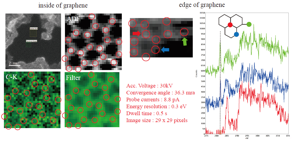 单层石墨烯的 STEM-ADF 图像和 EELS 分析