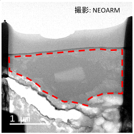 所制备样品的 BF-STEM 图像