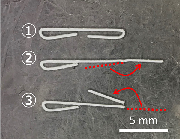 从内部晶体结构看订书钉的破坏