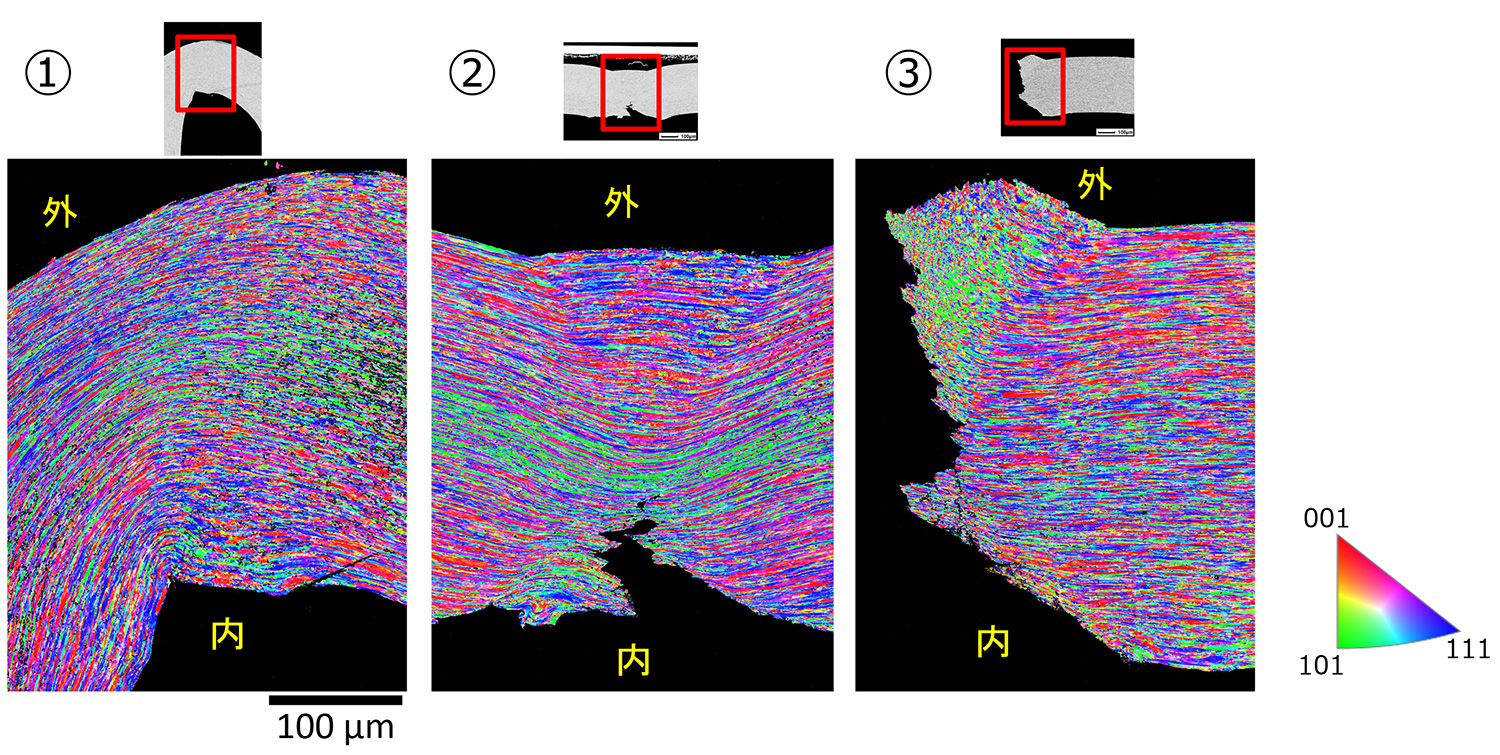 EBSD IPF*-Z 横截面样品图 250x