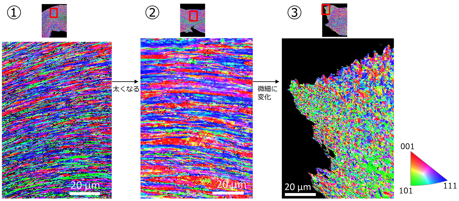 EBSD IPF*-Z 针外侧图 1000x *反极图
