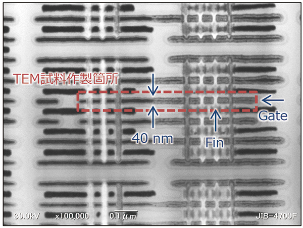 用于栅极层平面观察的薄片样品的STEM图像（由JIB-4700F拍摄）