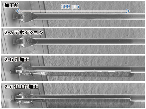 图。每个处理过程的2张SIM图像