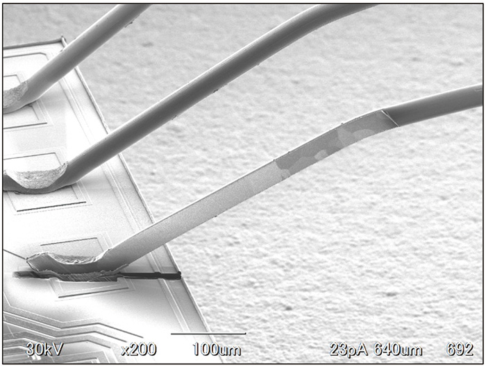 图。 3 横截面样品制备后的键合线（SIM 图像）