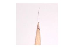 超薄切片制备睫毛探针