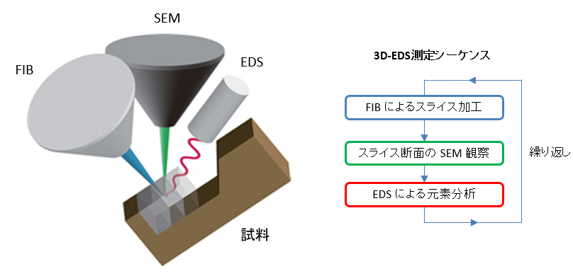 图。图3：使用FIB-SEM的3D-EDS示意图