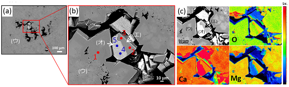 图 3 样本 2 (a) BSE 图像 (x100) (b) BSE 图像 (x400) (c) 元素图