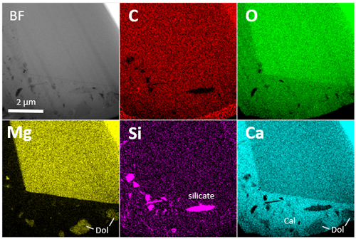 图 8 样品 2 的 STEM-EDS 元素图