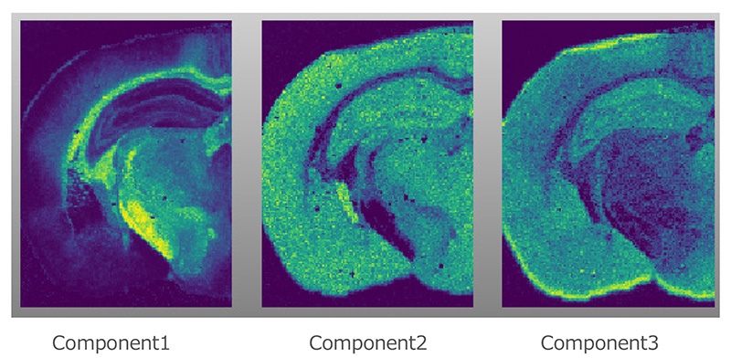 Figure 2 pLSA analysis of the high mass-resolution MALDI-MSI data