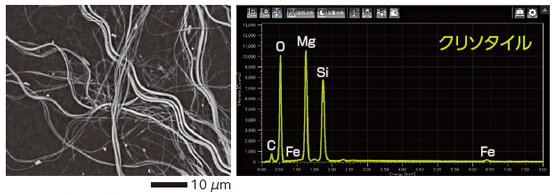 SEM/EDS 温石棉观察结果和元素分析结果