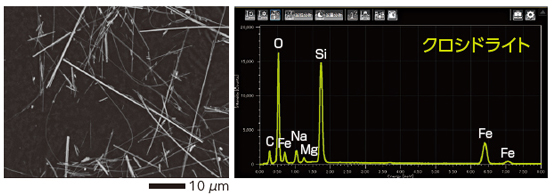 SEM/EDS青石棉的石棉观察结果和元素分析结果