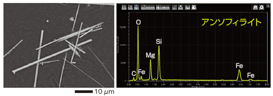 SEM/EDS 和直闪石的石棉观察结果和元素分析结果