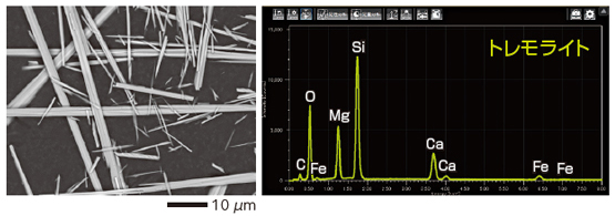 SEM/EDS透闪石石棉观察结果和元素分析结果